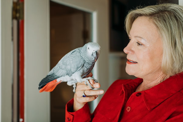 nancy and pet bird reiki master